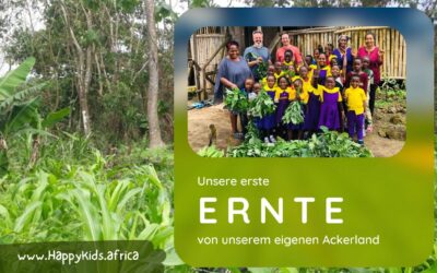 Unsere erste Ernte von unserem eigenen Ackerland